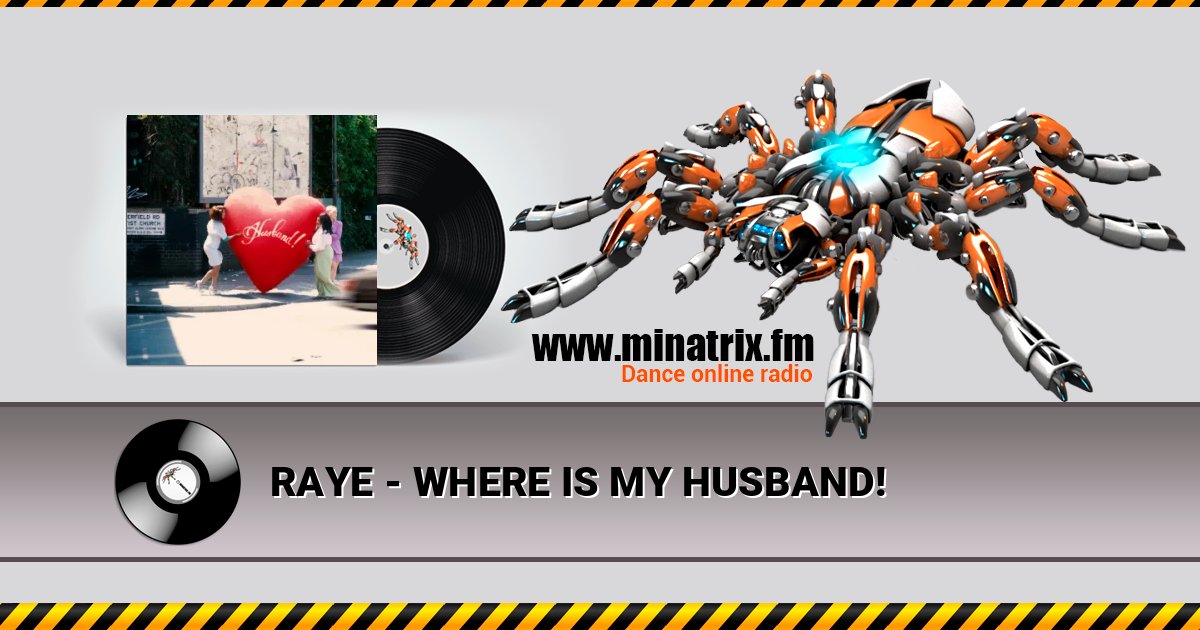 RAYE - WHERE IS MY HUSBAND! 在线播放并下载 MP3
