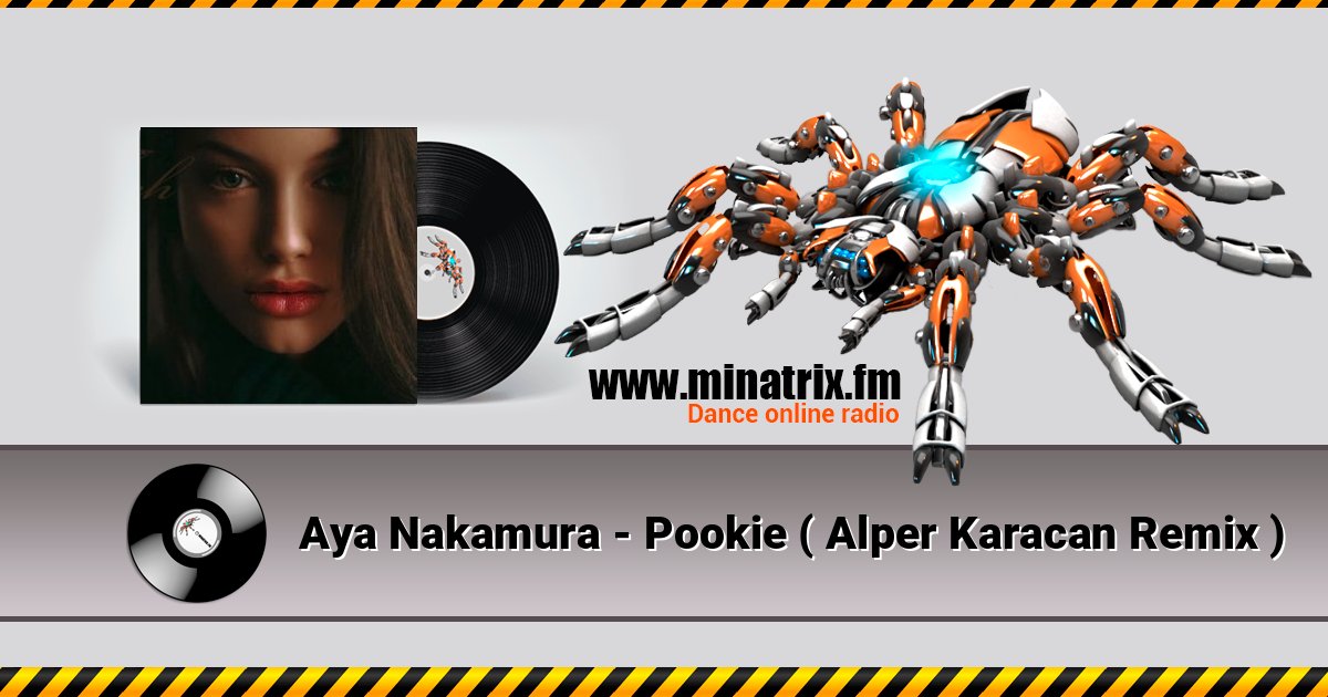 Aya Nakamura - Pookie ( Alper Karacan Remix ) слушать онлайн и скачать mp3