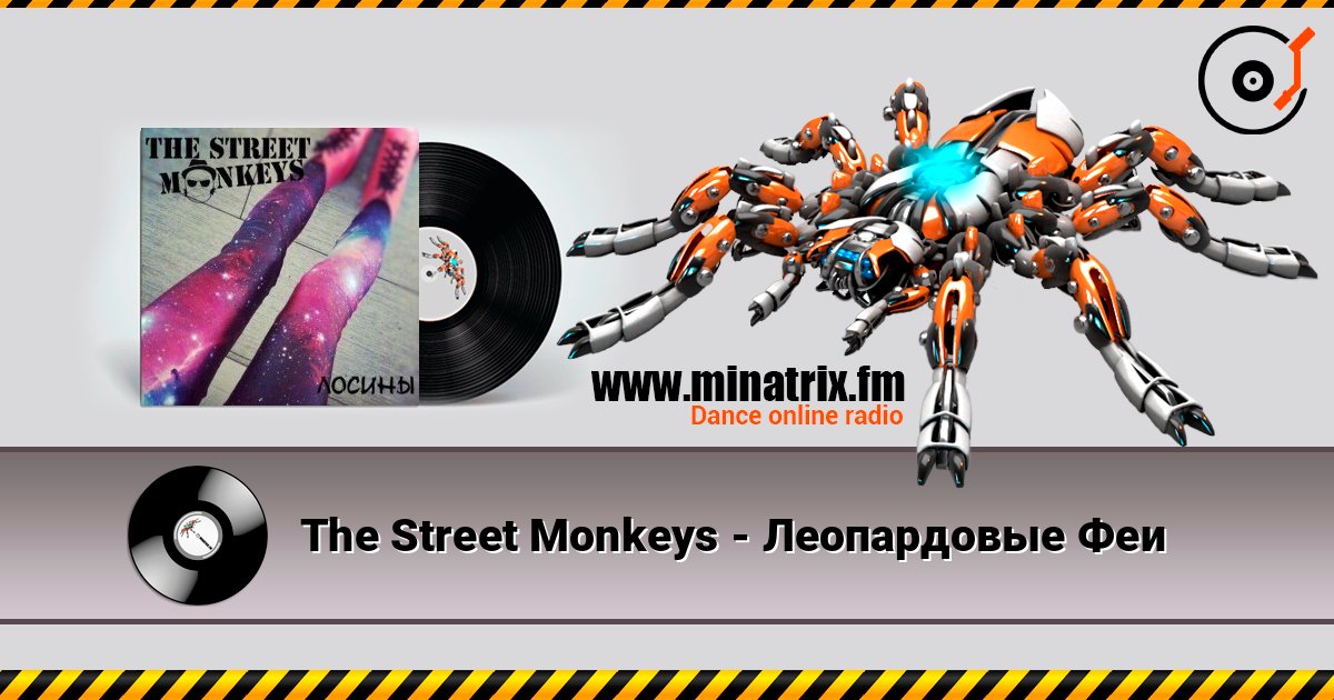 The Street Monkeys - Леопардовые Феи The Street Monkeys - Леопардовые Феи Online hören und MP3 herunterladen