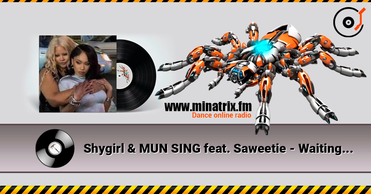 Shygirl & MUN SING feat. Saweetie - Waiting in the Car 在线播放并下载 MP3