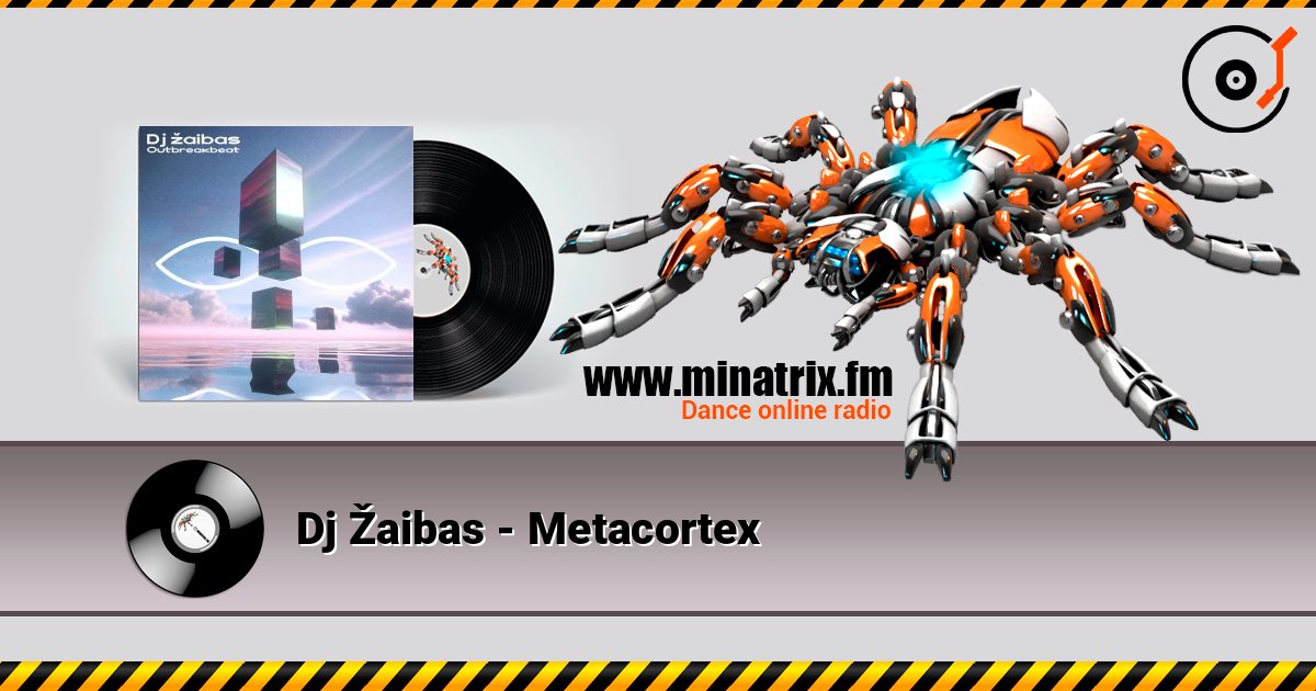 Dj Žaibas - Metacortex слушать онлайн и скачать mp3