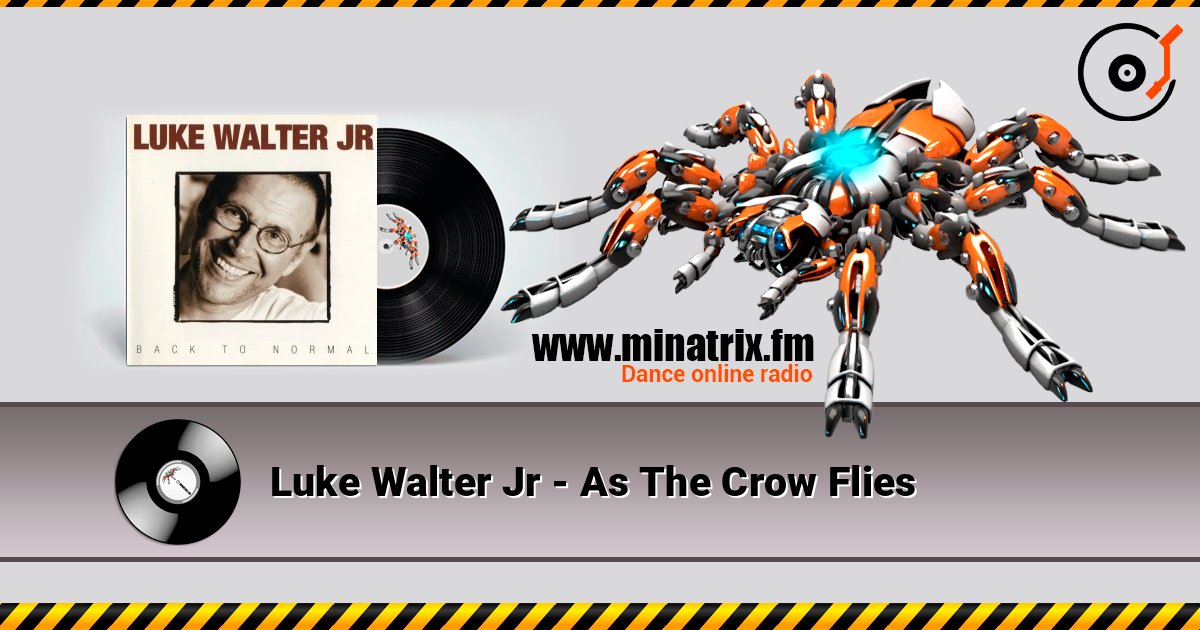 Luke Walter Jr - As The Crow Flies 在线播放并下载 MP3