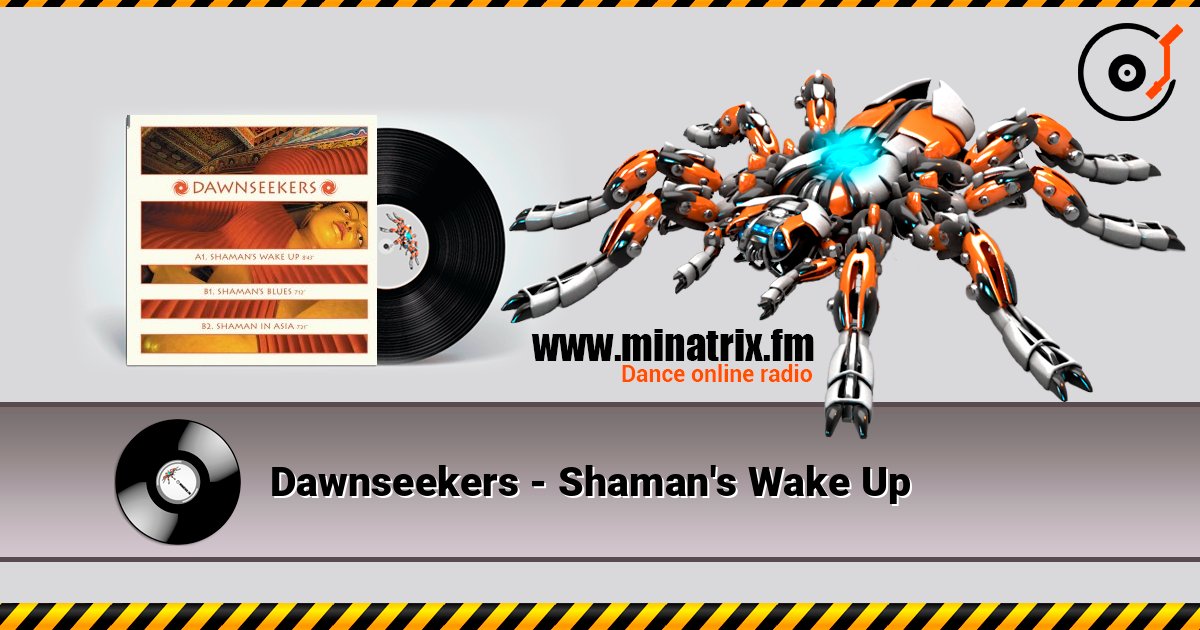Dawnseekers - Shaman's Wake Up слушать онлайн и скачать mp3