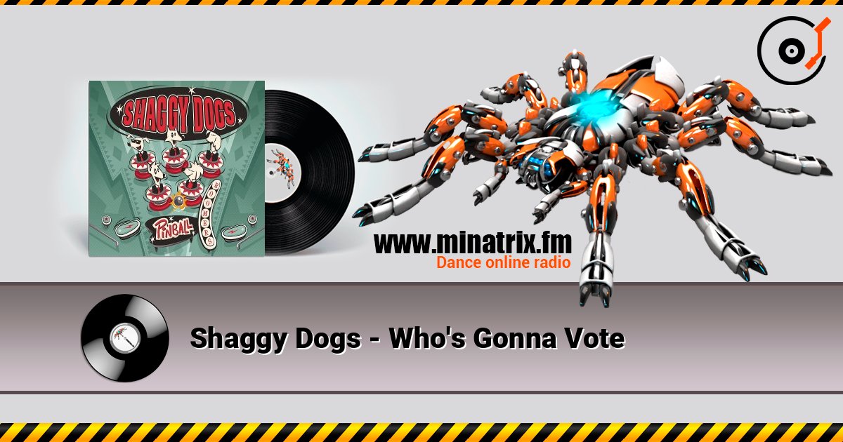 Shaggy Dogs - Who's Gonna Vote слушать онлайн и скачать mp3