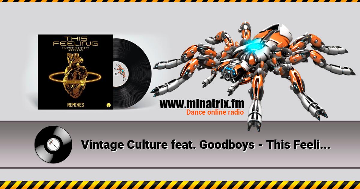 Vintage Culture feat. Goodboys - This Feeling (Velvet Mode And Chris Arna Remix)  