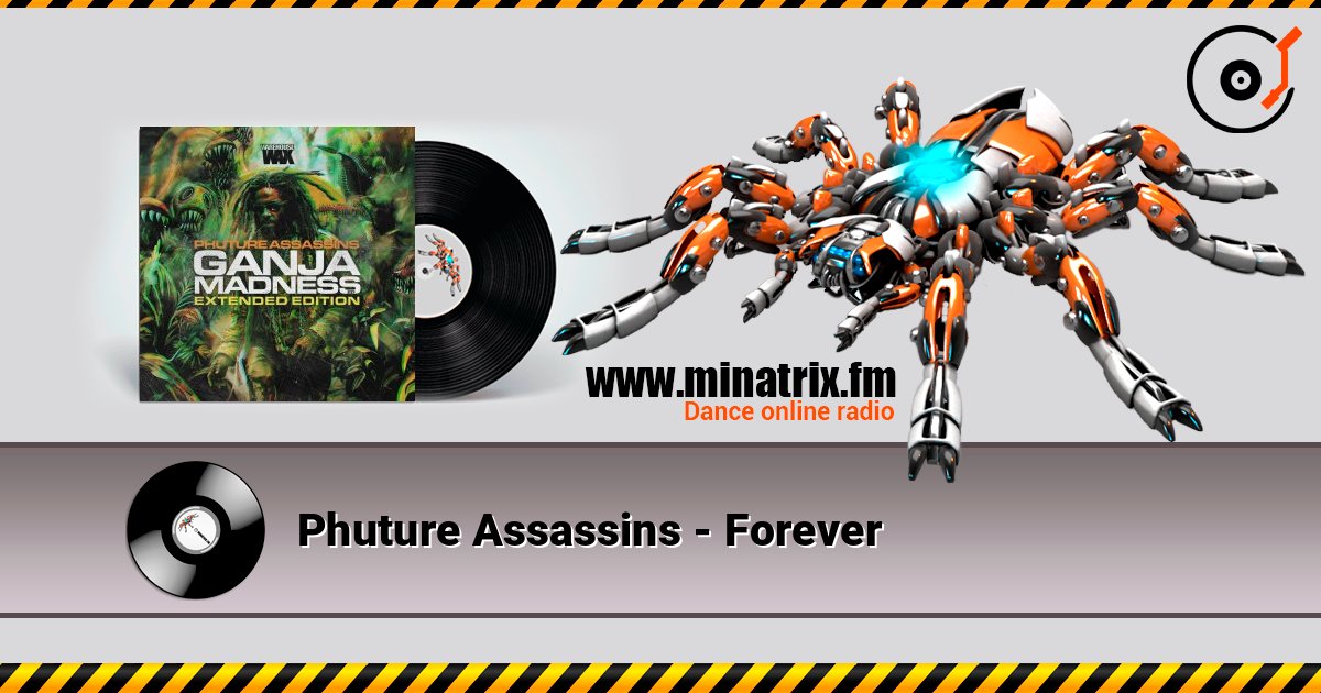 Phuture Assassins - Forever слушать онлайн в высоком качестве | Minatrix.FM
