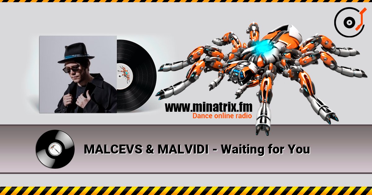 MALCEVS & MALVIDI - Waiting for You listen online in high quality | Minatrix.FM