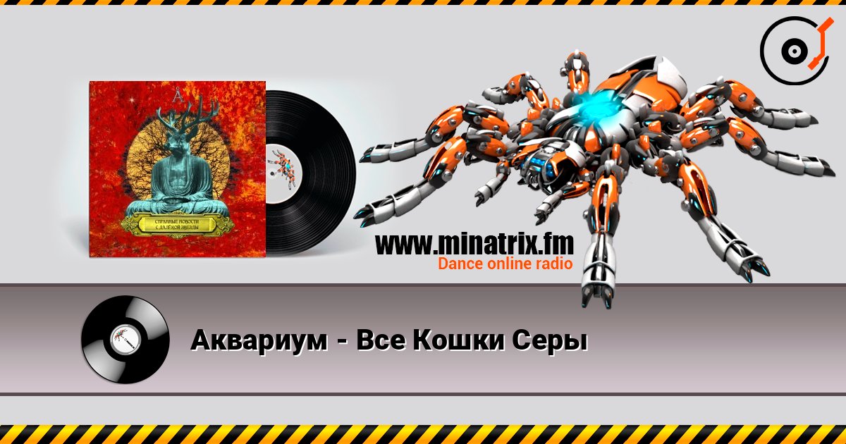Аквариум - Все Кошки Серы 在线收听高音质 | Minatrix.FM