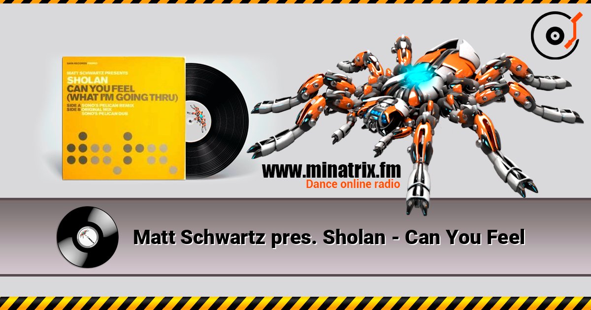 Matt Schwartz pres. Sholan - Can You Feel 在线收听高音质 | Minatrix.FM