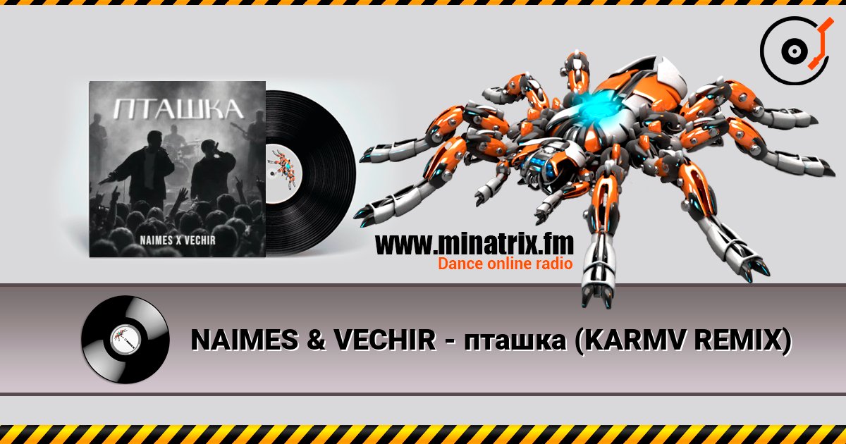 NAIMES & VECHIR - пташка (KARMV REMIX) слушать онлайн в высоком качестве | Minatrix.FM