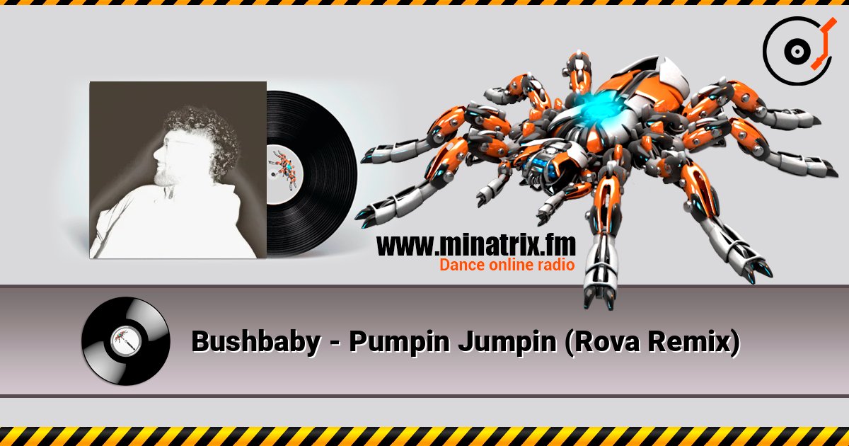 Bushbaby - Pumpin Jumpin (Rova Remix) слухати онлайн у високій якості | Minatrix.FM