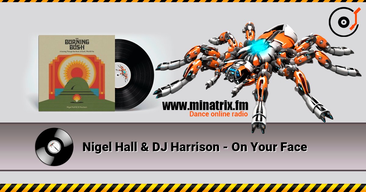 Nigel Hall & DJ Harrison - On Your Face слушать онлайн в высоком качестве | Minatrix.FM