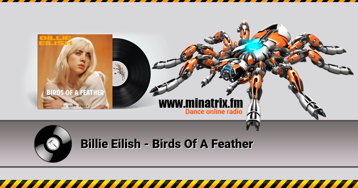 Billie Eilish - Birds Of A Feather  