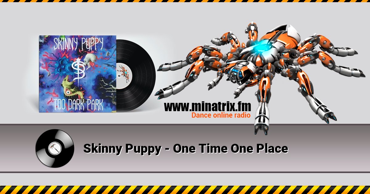 Skinny Puppy - One Time One Place Skinny Puppy - One Time One Place скачать бесплатно