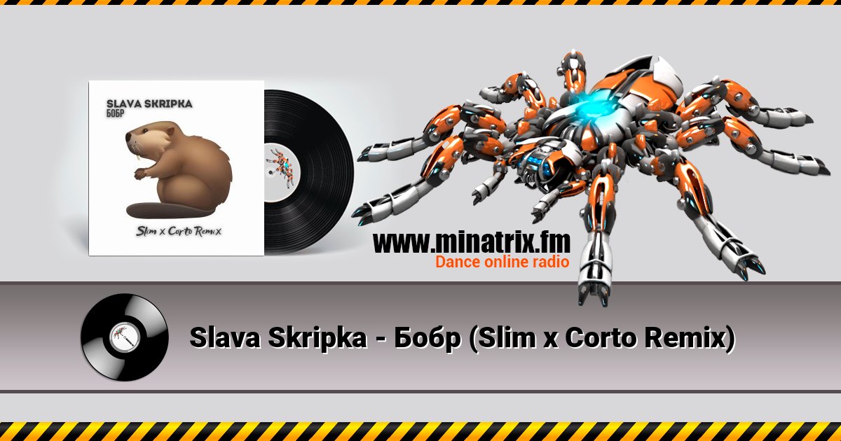 Slava Skripka -  (Slim x Corto Remix)  