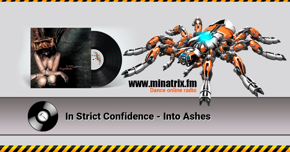 In Strict Confidence - Into Ashes In Strict Confidence - Into Ashes скачать бесплатно