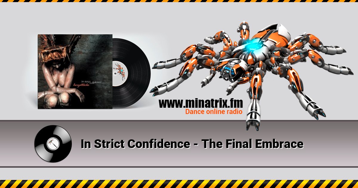 In Strict Confidence - The Final Embrace In Strict Confidence - The Final Embrace скачать бесплатно