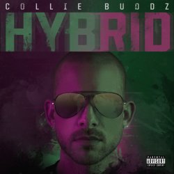 Hybrid - Break My Soul