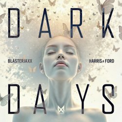 BlasterJaxx - Koala