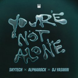 Skytech feat. Alpharock & DJ Yasmin - Youre Not Alone