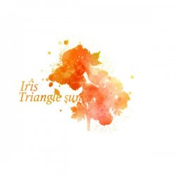 Triangle Sun - Dry My Tears