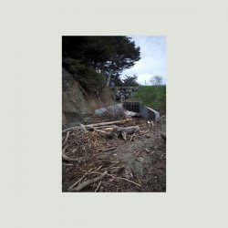 Mac DeMarco - Gualala2