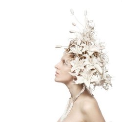 Illaria -  