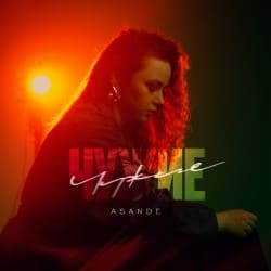 ASANDE - 