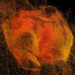 Deco (BE) - Sehni