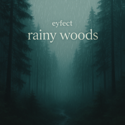 eyfect - rainy woods