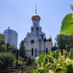 Сергей Видов - Донбасс