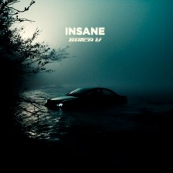 Butch U - Insane