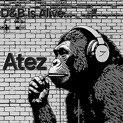 Live Minatrix.FM: Drum and Bass is alive...