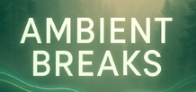 Ambient Breaks 一种融合了氛围音乐与断拍节奏的风格