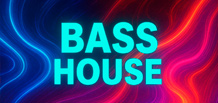 Bass House в 2025 году: главные тренды, ключевые артисты и возрождение стиля | Новости Minatrix.FM