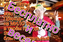 О Мило Фесте 