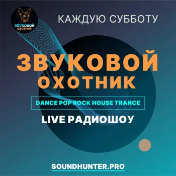 Обложка плейлиста Радиошоу Звуковой Охотник